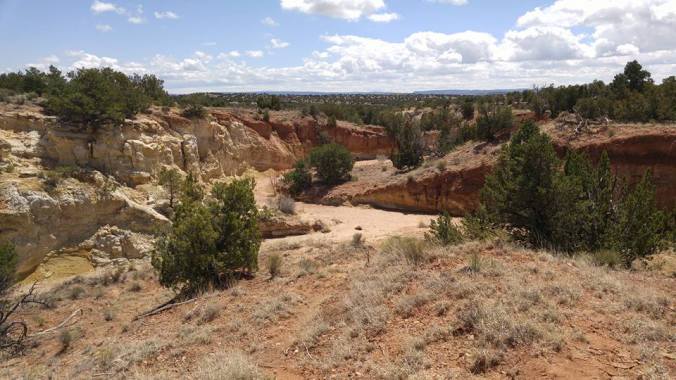 12998746_10100192348934068_1553757631002640428_n